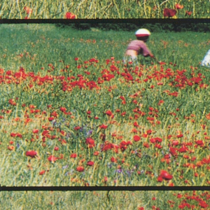 Projection - "Rose Lowder et sa caméra agricole"