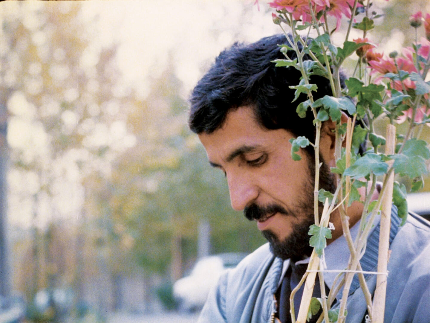 Film - "Close-up"