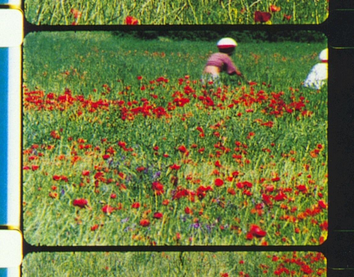 Proiezione - "Rose Lowder et sa caméra agricole" ("Rose Lowder e la sua macchina agricola")