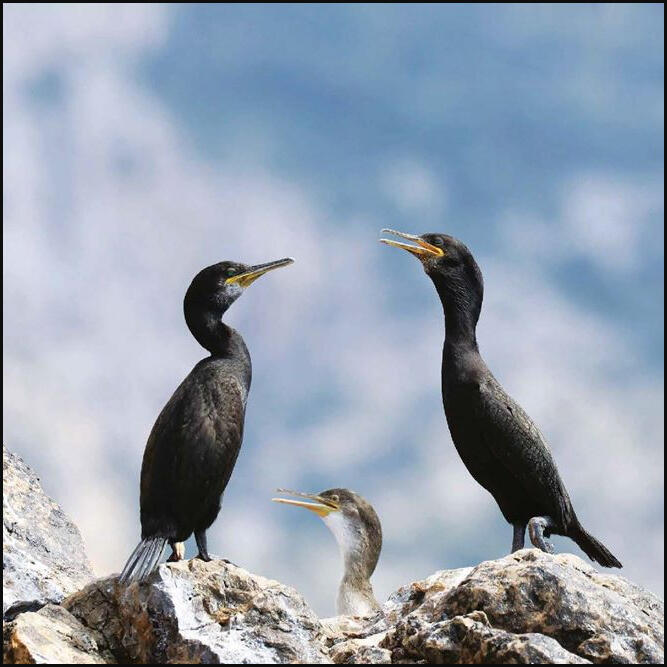 Mostra fotografica