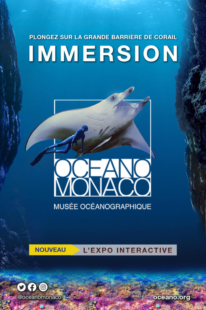 Mostra interattiva "Immersion"