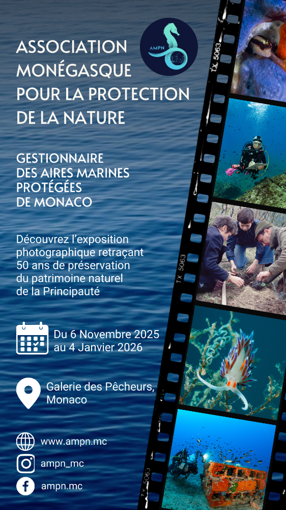 Exposition AMPN - 50 ans d'engagement au service de la biodiversité