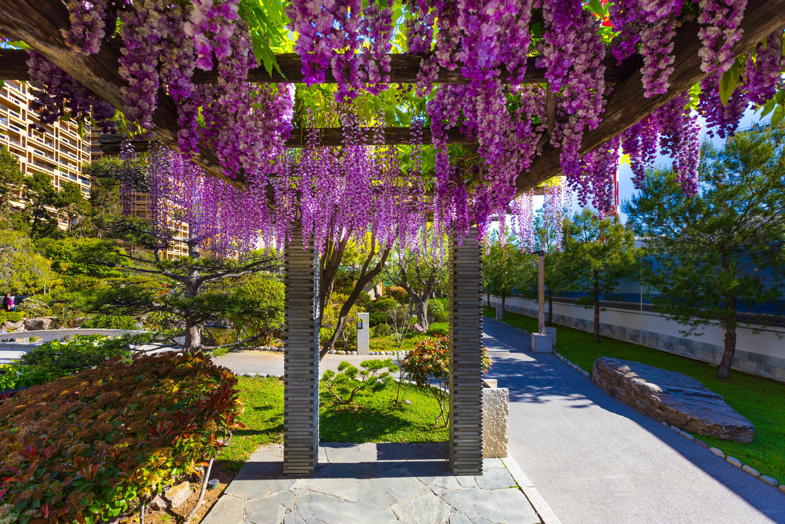 The Japanese Garden