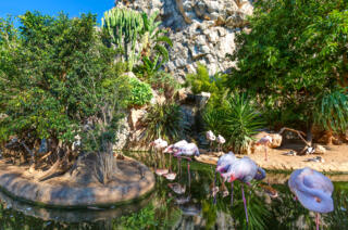 Rainier III Zoological Gardens