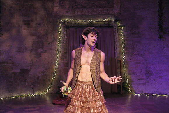 SOGNO DI UNA NOTTE DI MEZZA ESTATE 11/12