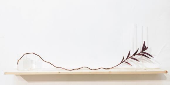 Finissage - "Concrete Beaches, Artificial Landscapes" 2/2