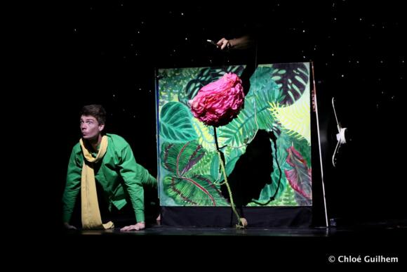 LE PETIT PRINCE 11/18