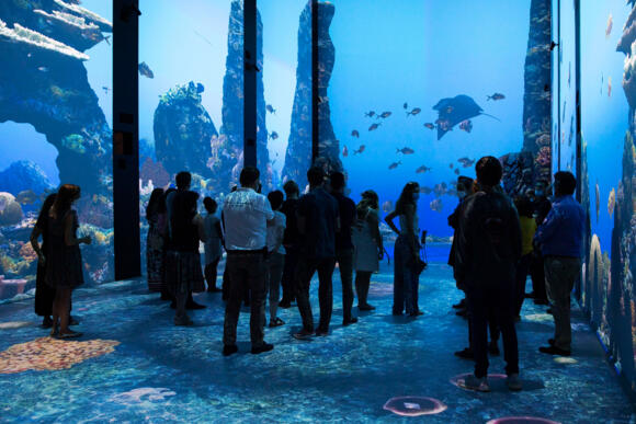 Museo Oceanografico 2/3