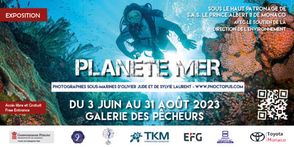 Mostra - "Pianeta Mare" 2/2