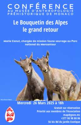 📢 Conférence : Le Bouquetin des Alpes, le grand retour ! 🏔️🦌