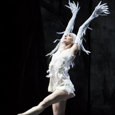 I balletti di Monte-Carlo