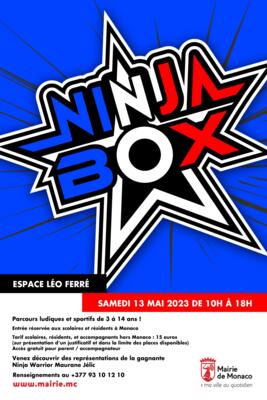Attività - "Ninja Box"
