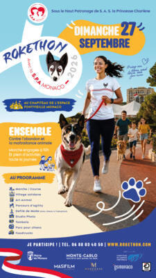 Rokethon 2/2