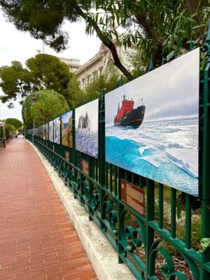 Exposition