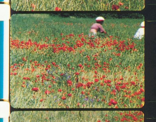 Proiezione - "Rose Lowder et sa caméra agricole" ("Rose Lowder e la sua macchina agricola")
