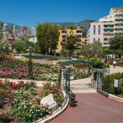 Mostra "Il principe Ranieri III, un giardino di rose in omaggio alla moglie".