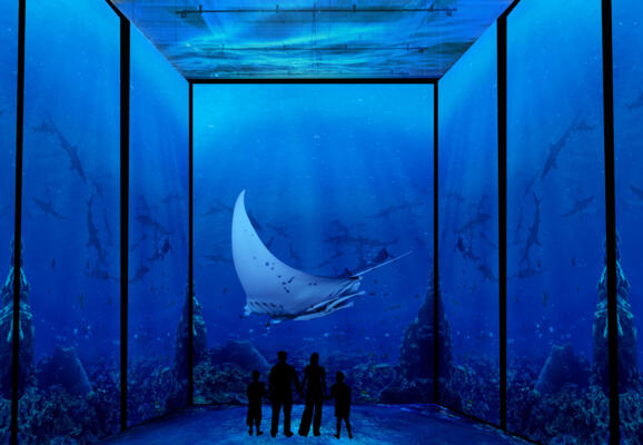 Mostra interattiva "Immersion" 2/2