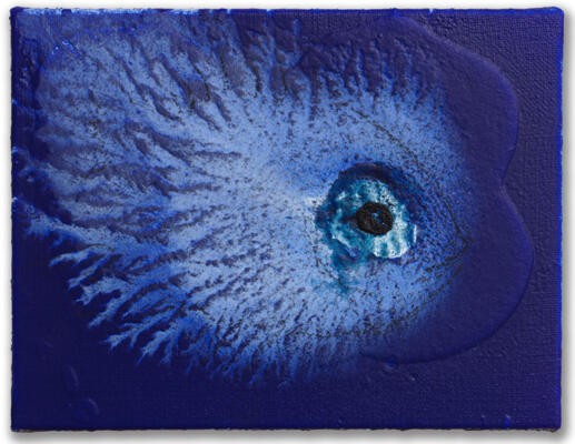 Exposition - "Miquel Barceló, océanographe"