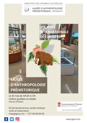 Attività - "Giornata Internazionale dei Musei"