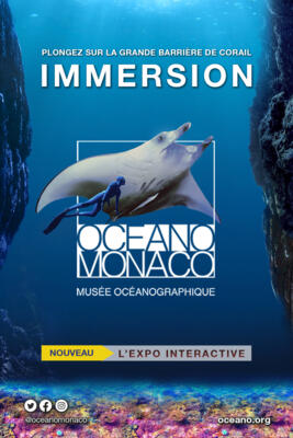 Mostra interattiva "Immersion"