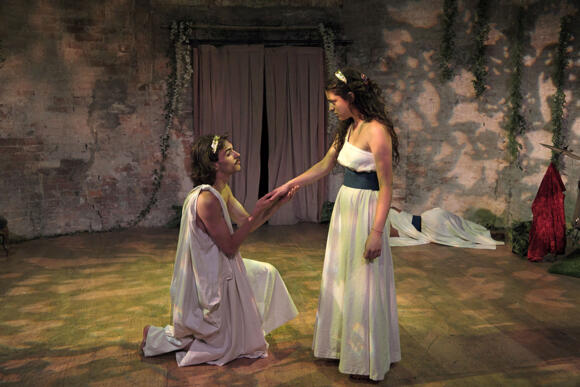 SOGNO DI UNA NOTTE DI MEZZA ESTATE 6/12