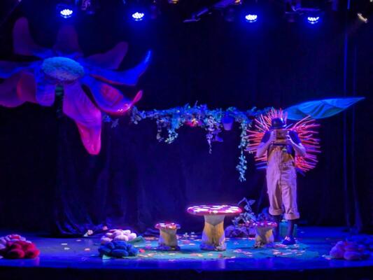 MERCI DU CADEAU ! 2/5