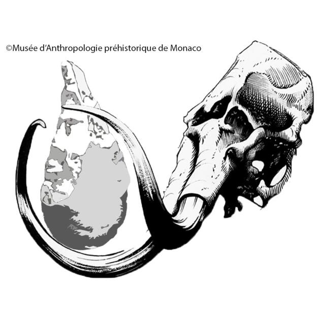 Attività - "Giornate europee dell'Archeologia" 1/2