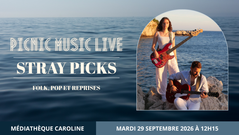 Picnic Music Live - Stray Picks - Duo acoustique - Folk, pop et reprises 1/1
