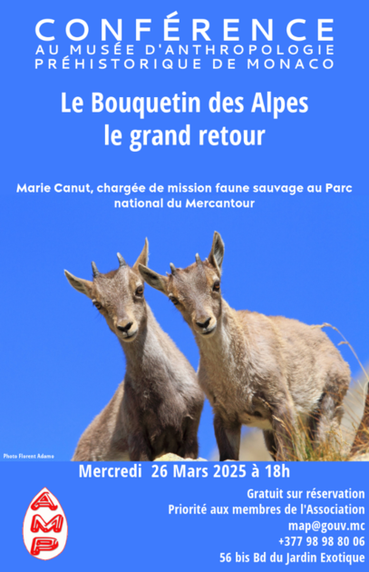 📢 Conferenza: Lo stambecco delle Alpi, il grande ritorno! 🏔️🦌 1/1