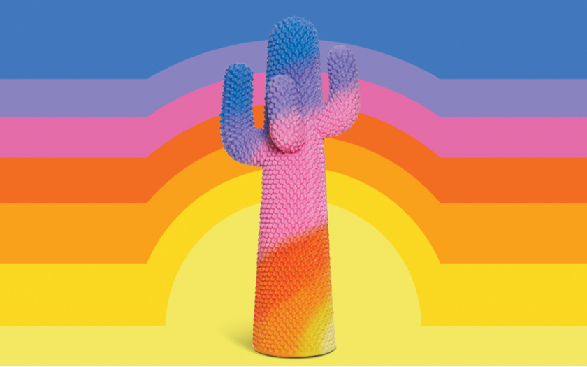 Mostra « CACTUS » 1/1