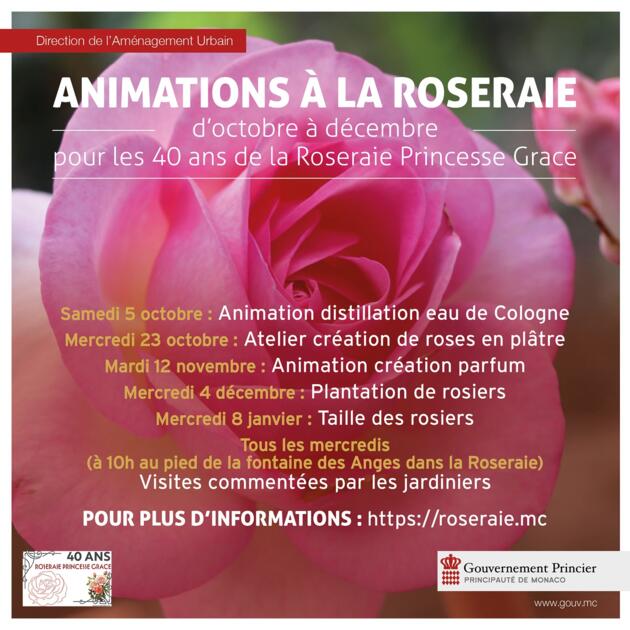 Event - "Rose Pruning with the Gardeners" 1/2