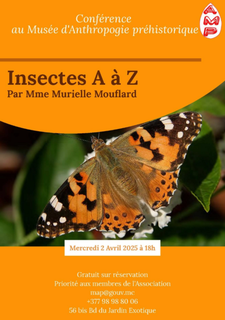 “Gli insetti dalla A alla Z” di Murielle Mouflard - Conferenza e visita 1/1