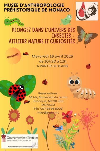 Animation - "Plongez dans l’univers captivant des insectes" 1/1