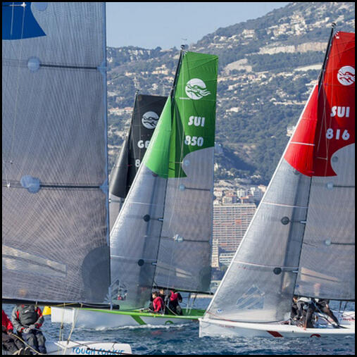 37° Primo Cup 1/1