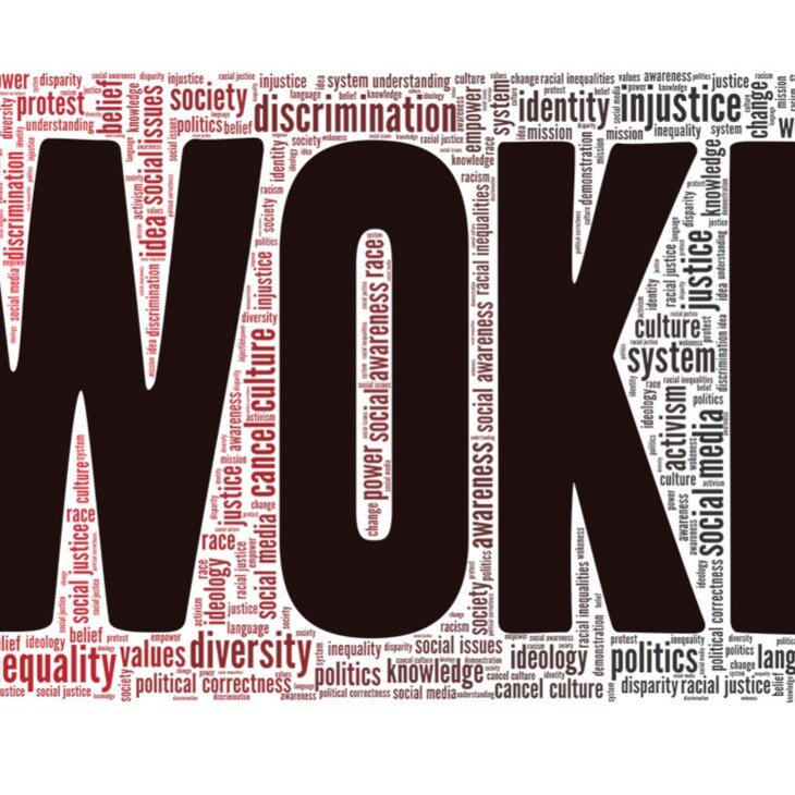 Le wokisme : un progrès ?