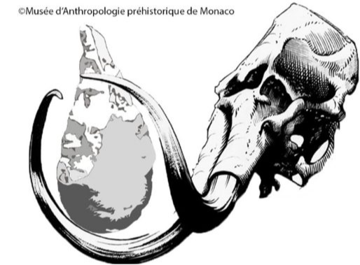Ateliers pédagogiques au Musée d'Anthropologie Préhistorique de Monaco