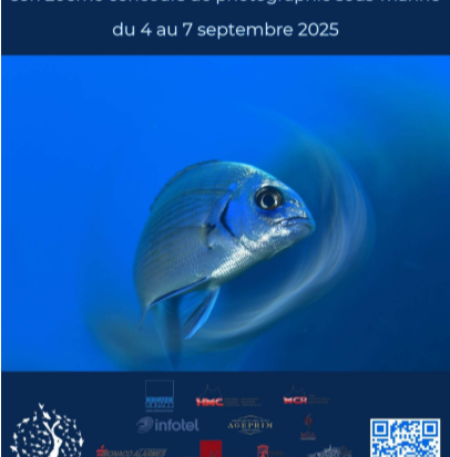 20e concours de photographie sous-marine