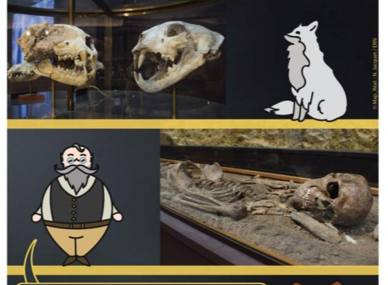 Ateliers vacances d’été au Musée d’Anthropologie préhistorique