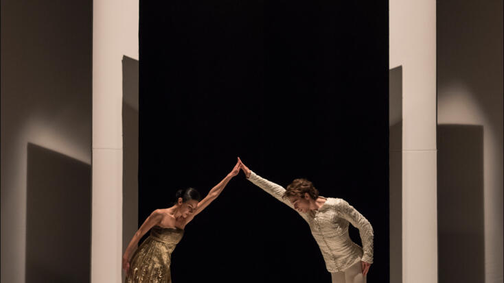 Les Ballets de Monte-Carlo
