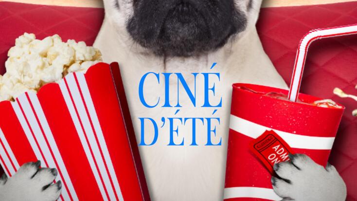 Animation - "Ciné d'été"