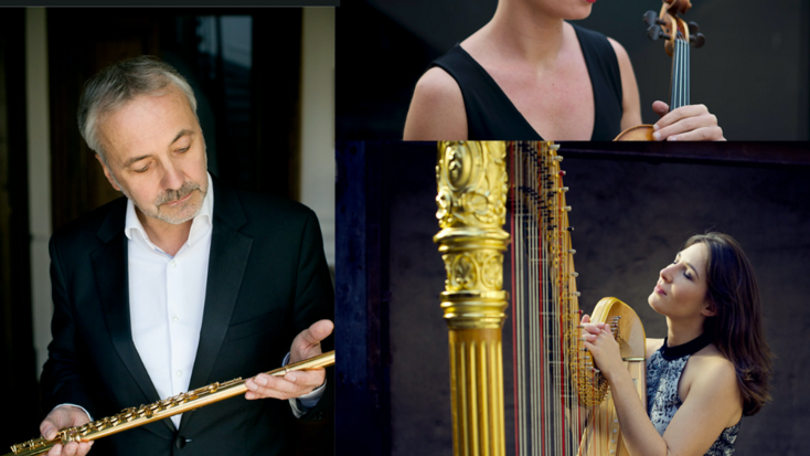 Concert - Bernold Trio