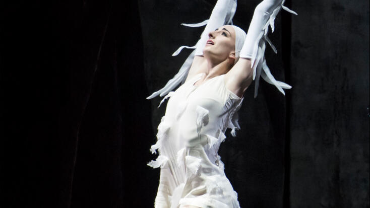 Les Ballets de Monte-Carlo