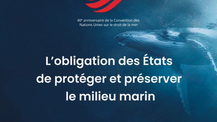 Colloque - "Indemer Monaco"