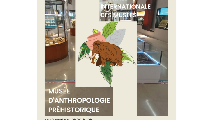 International Museum Day - ANIMATIONS at the Museum of Prehistoric Anthropology of Monaco