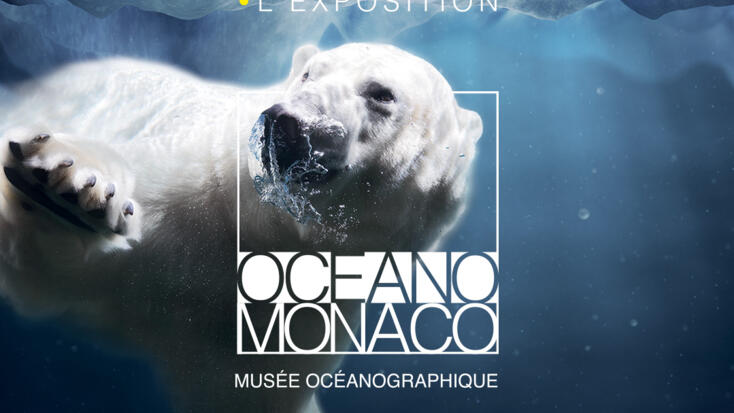 Exposition - "Mission Polaire"