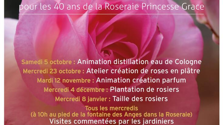 Event - "Rose Pruning with the Gardeners"