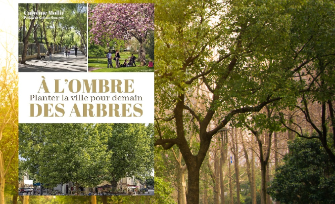 Caroline Mollie presenta il suo lavoro "All'ombra degli alberi. Piantare la città per il domani"