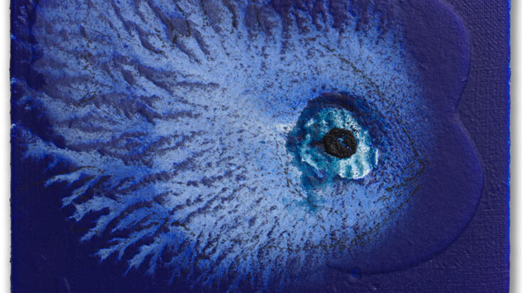 Exhibition - "Miquel Barceló, Oceanographer"