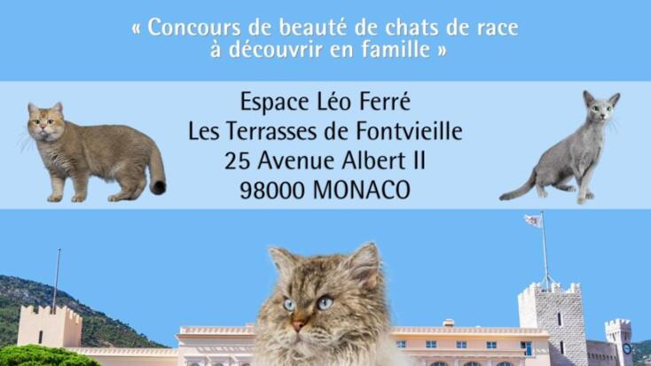 3° mostra felina internazionale di Monaco