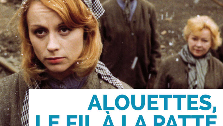 Allodole sul filo